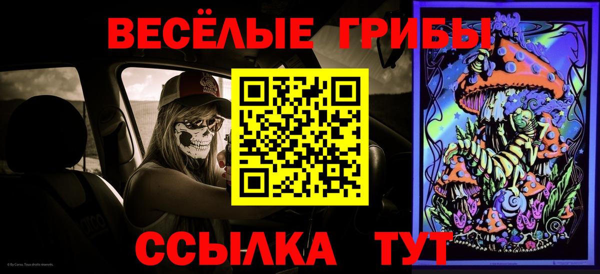 Сосновый Бор  Галлюциногенные грибы прущие грибы  наркошоп  Вход с VPN  Галлюциногенные грибы мухоморы 